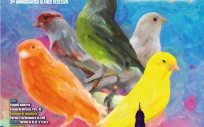 VI Concurso Ornitológico «Ciudad de Montoro»