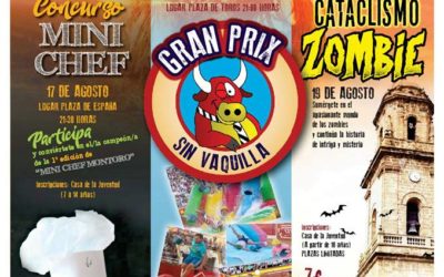 Acto de presentación del programa 2017 Summer Young
