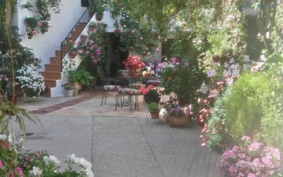 XXI Concurso de Patios y Fachadas típicas  “Ciudad de Montoro”