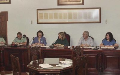 Adelantan la vigilancia en el campo antes de la campaña olivarera
