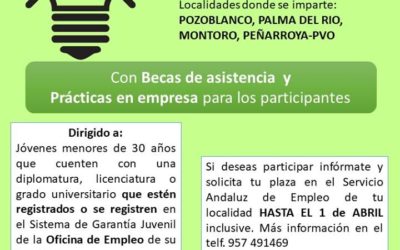 Curso: Emprendimiento y Prácticas Profesionales