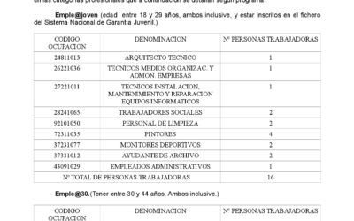 Programa de Fomento Empleo Industrial y Medidas de Inserción Laboral