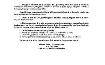 Control de plagas de Barrenillo, Pulgón o Palomilla