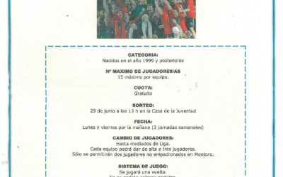 Liga Fútbol – 7