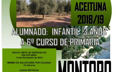 Guardería Temporera. Campaña de Aceituna 2018/19