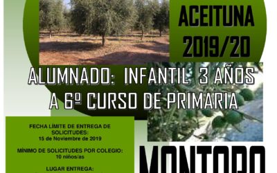 Guardería Temporera. Campaña aceituna 2019/20