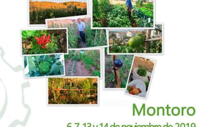 Curso de agricultura ecológica y huertos urbanos