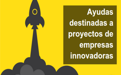 Ayudas  «NEOTEC»