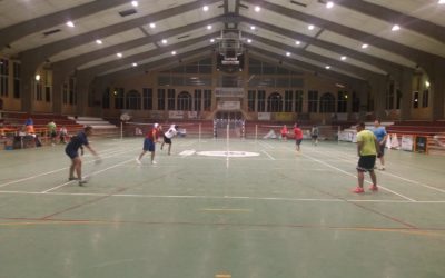 Crónica Bádminton