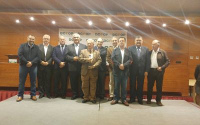 SCA Olivarera de Montoro, premiada al mejor aceite de oliva virgen extra