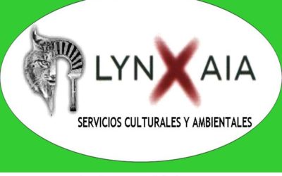 Agenda Mes de Diciembre «Lynxaia»
