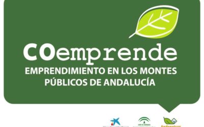 Proyecto Coemprende de la Agencia de Medio Ambiente y Agua de Andalucía