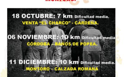 Programa de Envejecimiento Activo