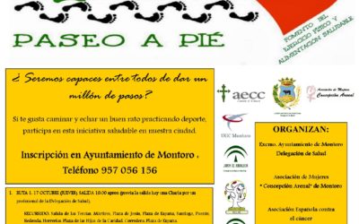Por un millón de pasos
