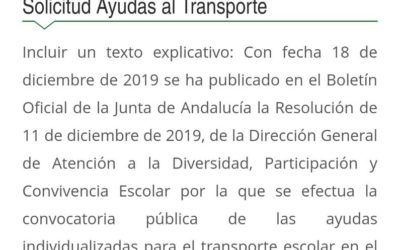 Convocadas las ayudas individualizadas para el transporte escolar en el curso 2018/19