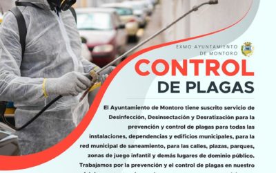 Control de Plagas en Montoro