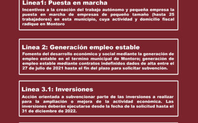 CONVOCATORIA SUBVENCIONES A EMPRESAS Y AUTÓNOMOS DE MONTORO 2022
