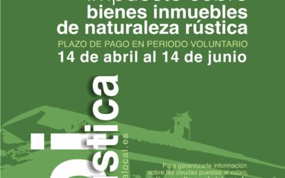 impuesto sobre bienes inmuebles en naturaleza rustica